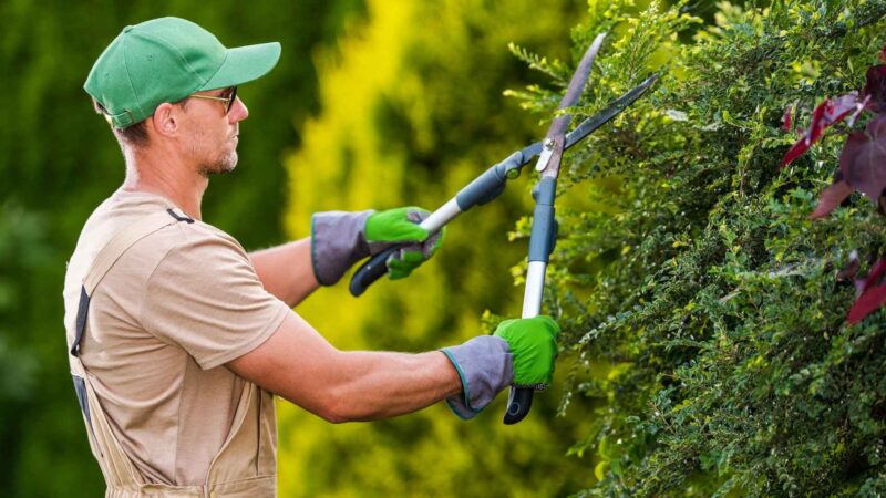 Gardener